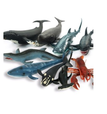 소프트 해양 9종 세트